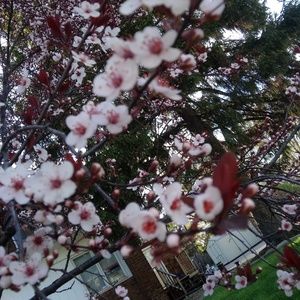 Meet your Posher, Mari